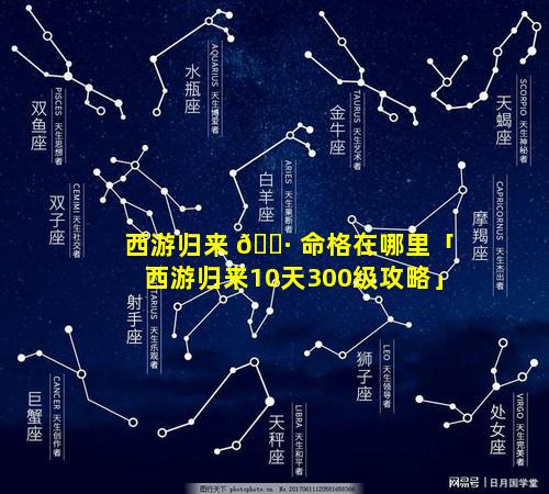 西游归来 🕷 命格在哪里「西游归来10天300级攻略」